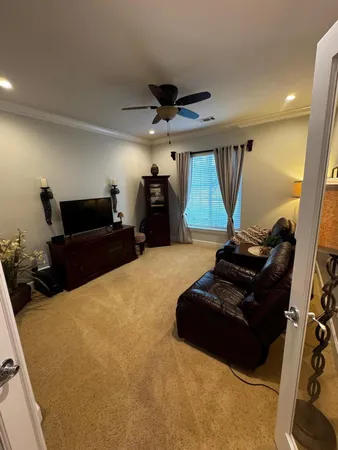 a living room with furniture and a potted plant
