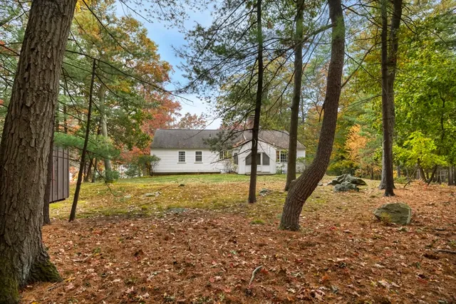 a view of a yard with plants and trees