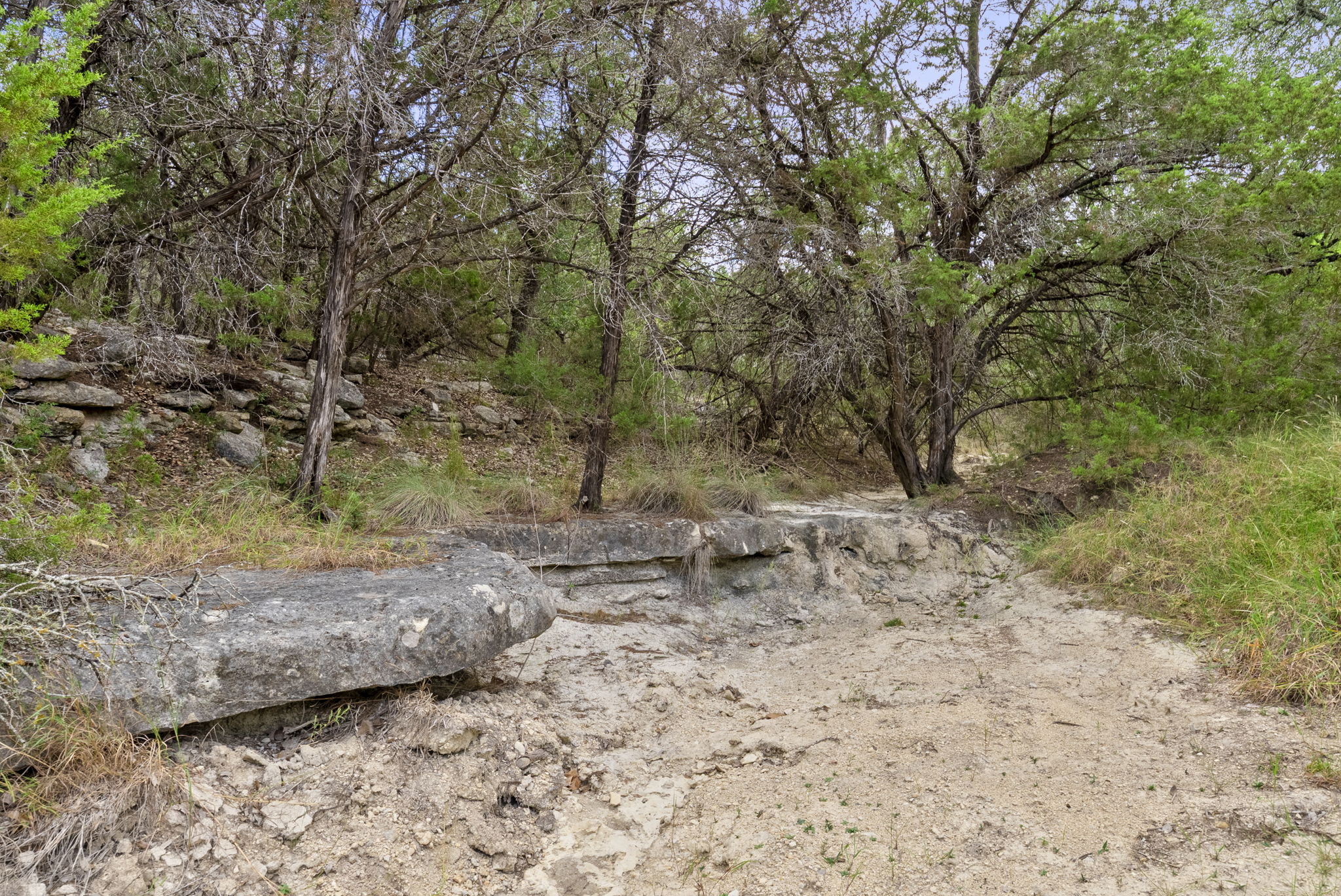 1250 Myers Creek Road Dripping Springs, TX 78620 - Photo 19 of 34 Recent improvements include a new cut entry drive, a wide clearing for a potential home site, and the removal of a natural dam in the dry creek bed.