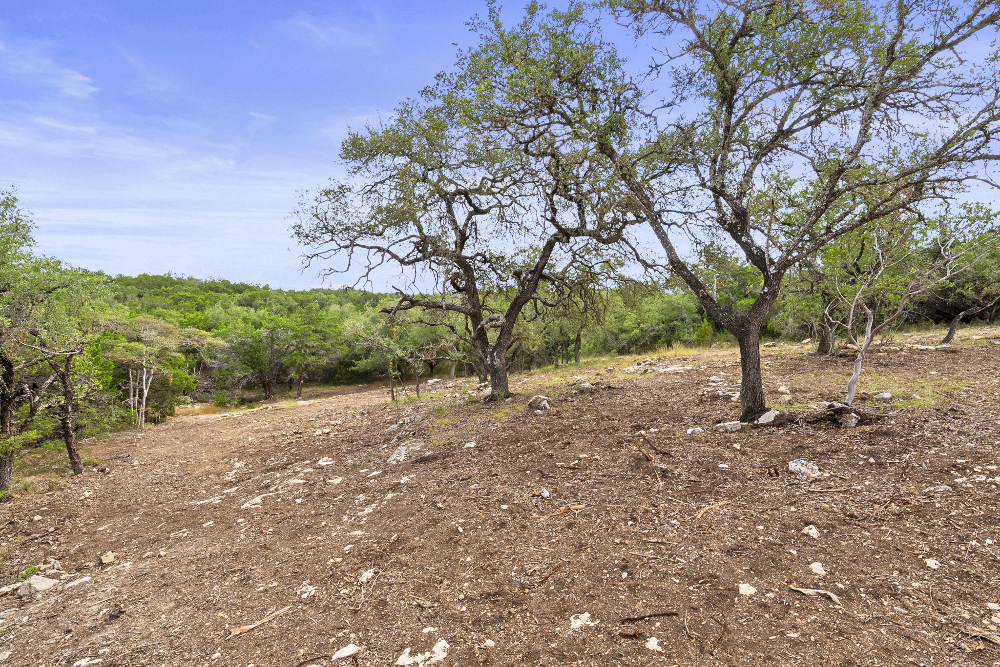 1250 Myers Creek Road Dripping Springs, TX 78620 - Photo 22 of 34 Recent improvements include a new cut entry drive, a wide clearing for a potential home site, and the removal of a natural dam in the dry creek bed.