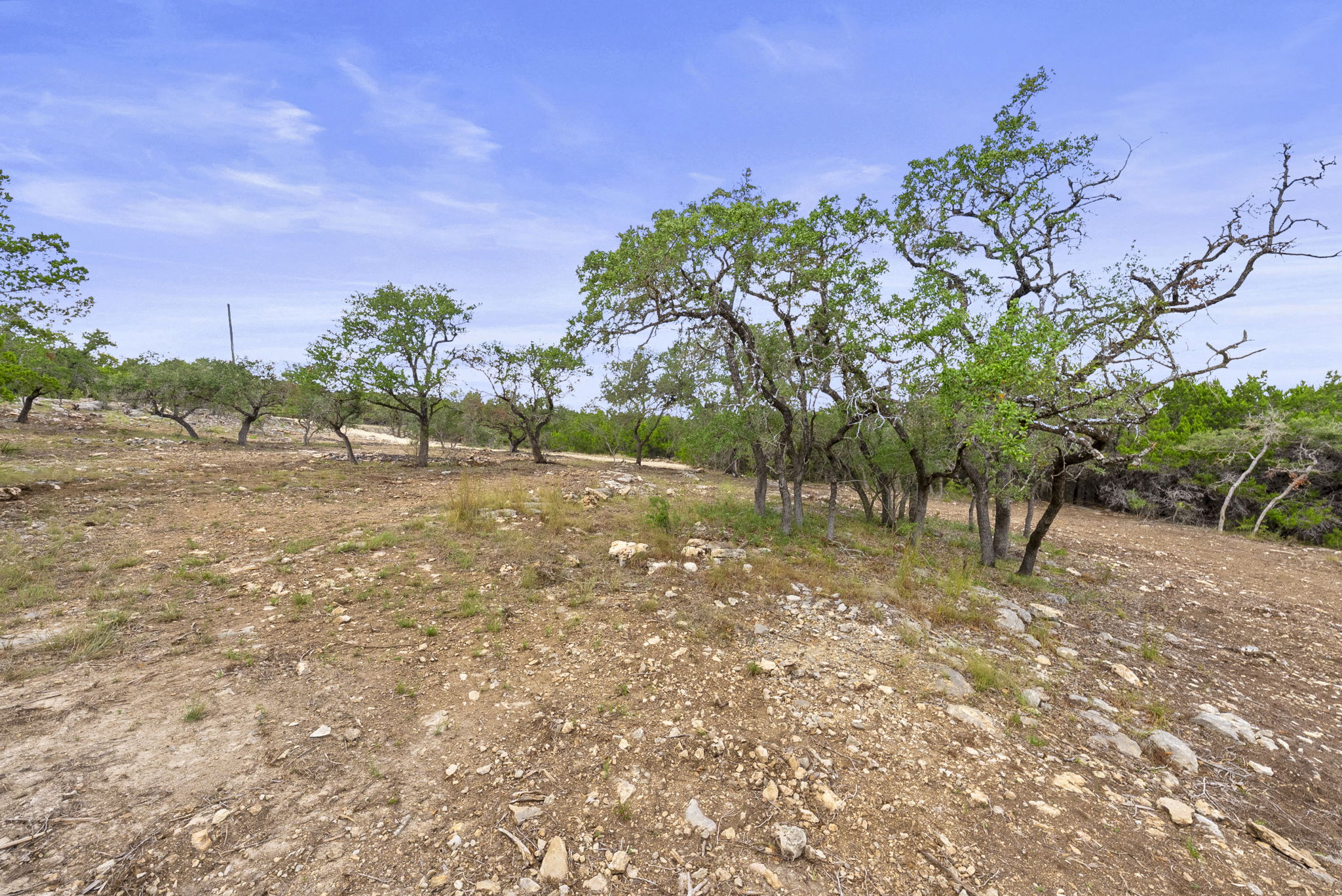 1250 Myers Creek Road Dripping Springs, TX 78620 - Photo 23 of 34 Recent improvements include a new cut entry drive, a wide clearing for a potential home site, and the removal of a natural dam in the dry creek bed.