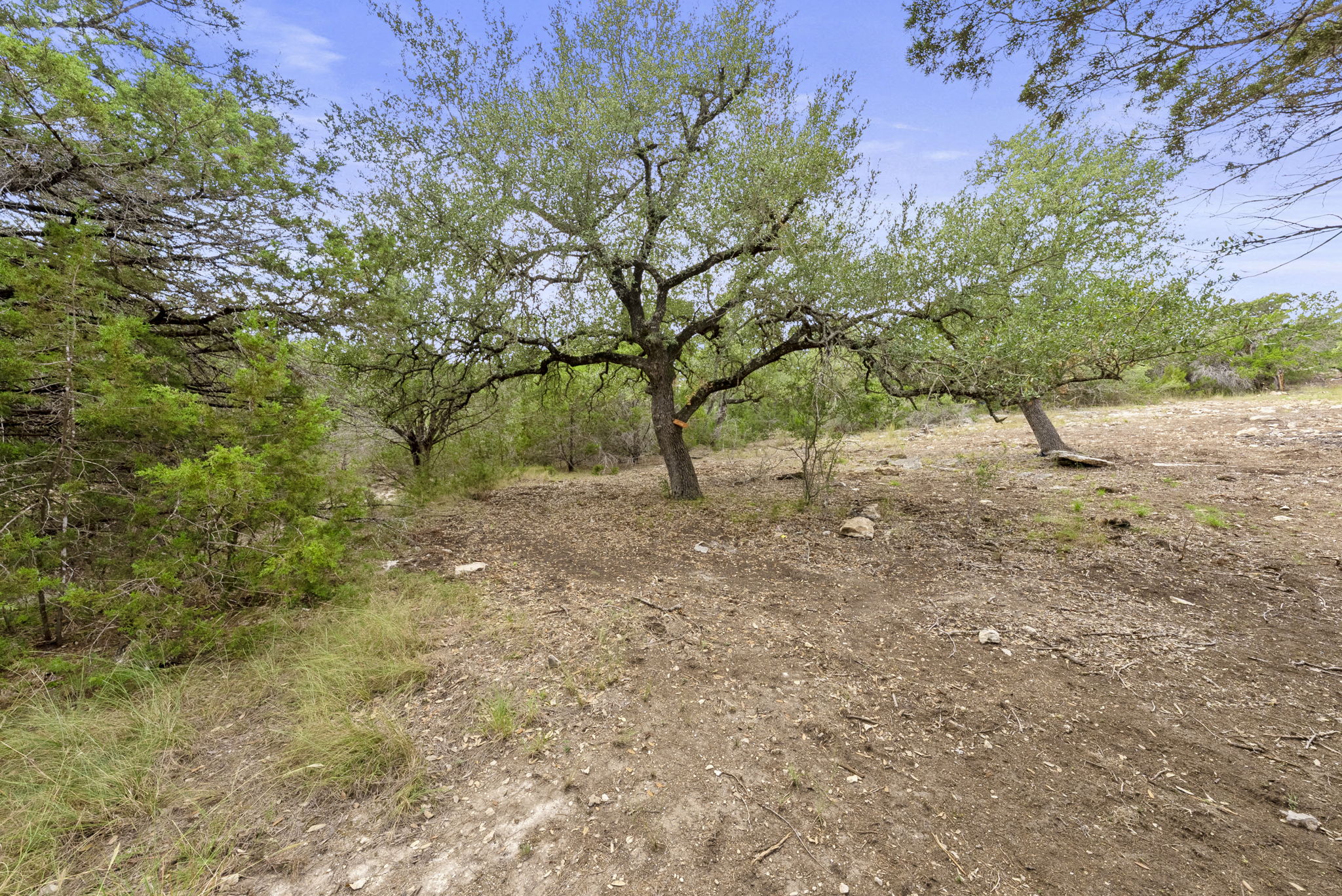 1250 Myers Creek Road Dripping Springs, TX 78620 - Photo 30 of 34 Recent improvements include a new cut entry drive, a wide clearing for a potential home site, and the removal of a natural dam in the dry creek bed.