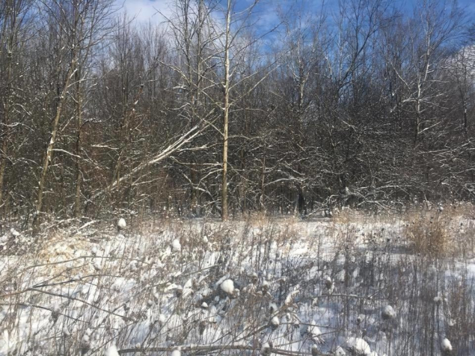 V/l Moore Road Tekonsha, MI 49092 - Photo 2 of 3 Moore 11