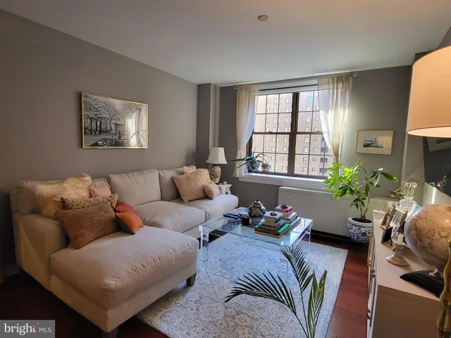 a living room with furniture potted plant and window