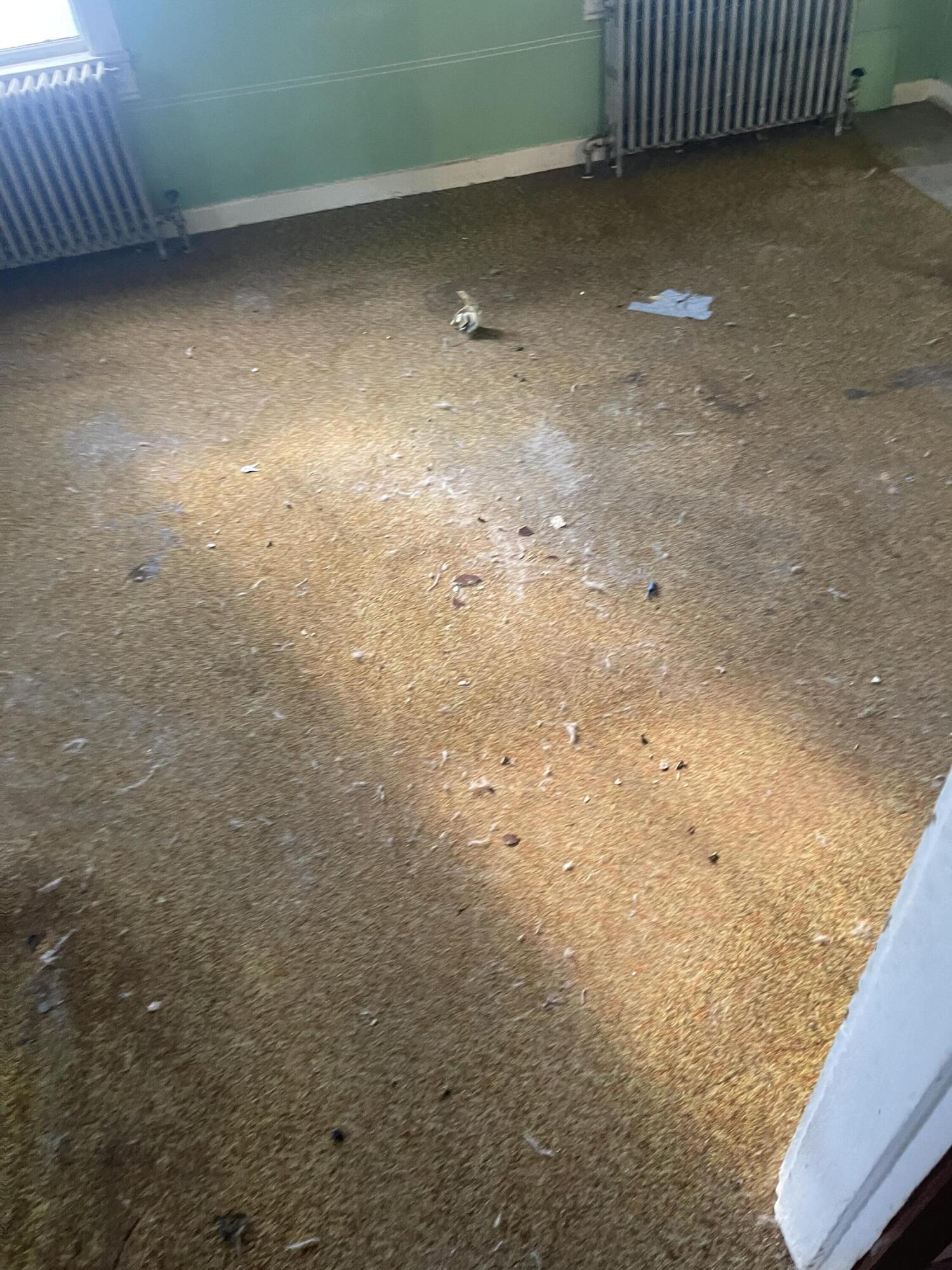 90 Oak Street, Unit R Lewiston, ME 04240 - Photo 15 of 28 IMG_3797