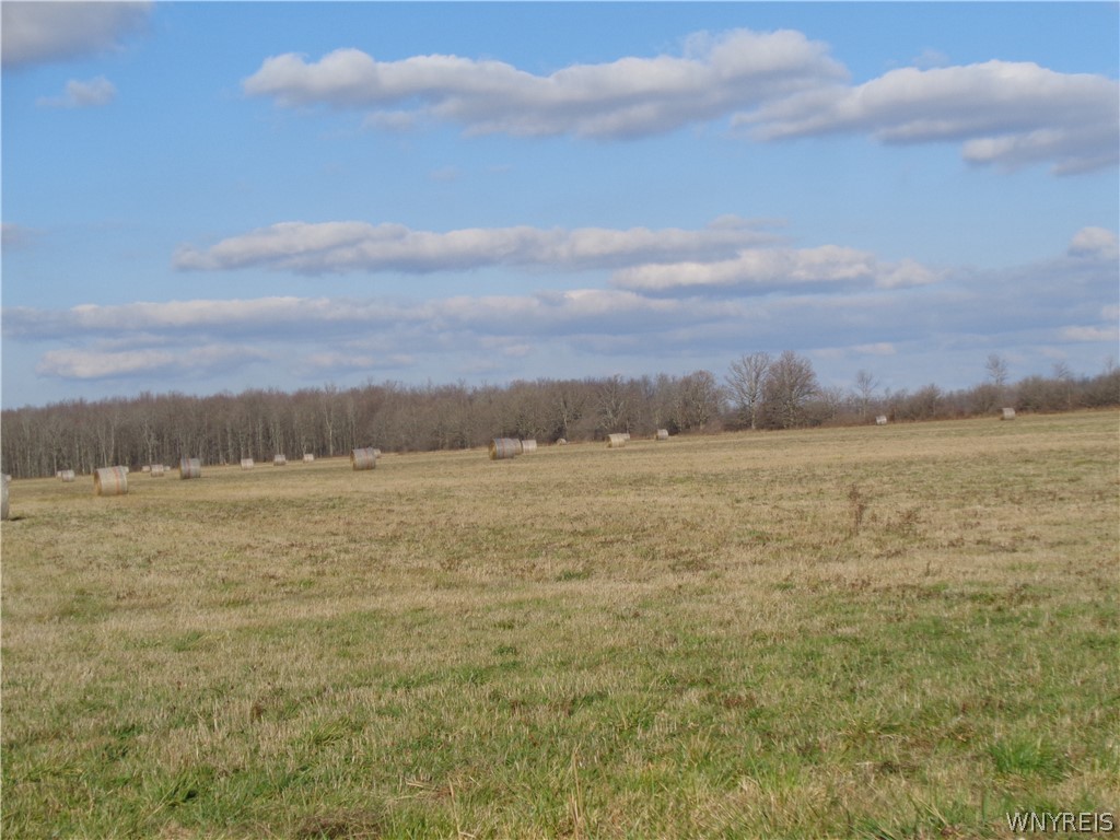 0 Simms Road Lockport, NY 14094 - Photo 1 of 1 Gallery Image 1