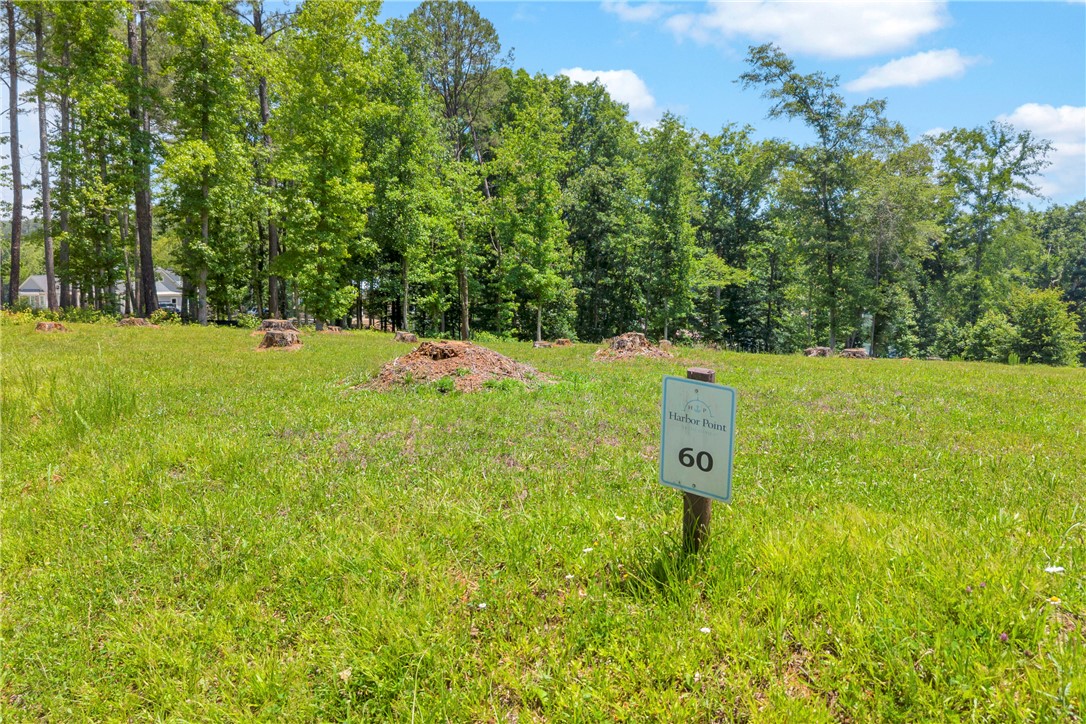 Lot 60 Harbor Point Seneca, SC 29672 - Photo 17 of 30 A verdant lot ready for construction, nestled among mature trees with distant views of the water.