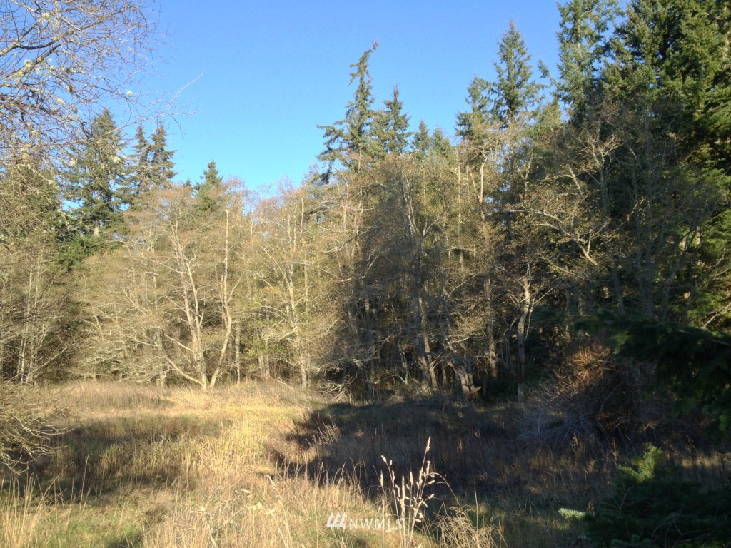 0 Turkey Hill Road Clinton, WA 98236 - Photo 2 of 22 Gallery Image 2