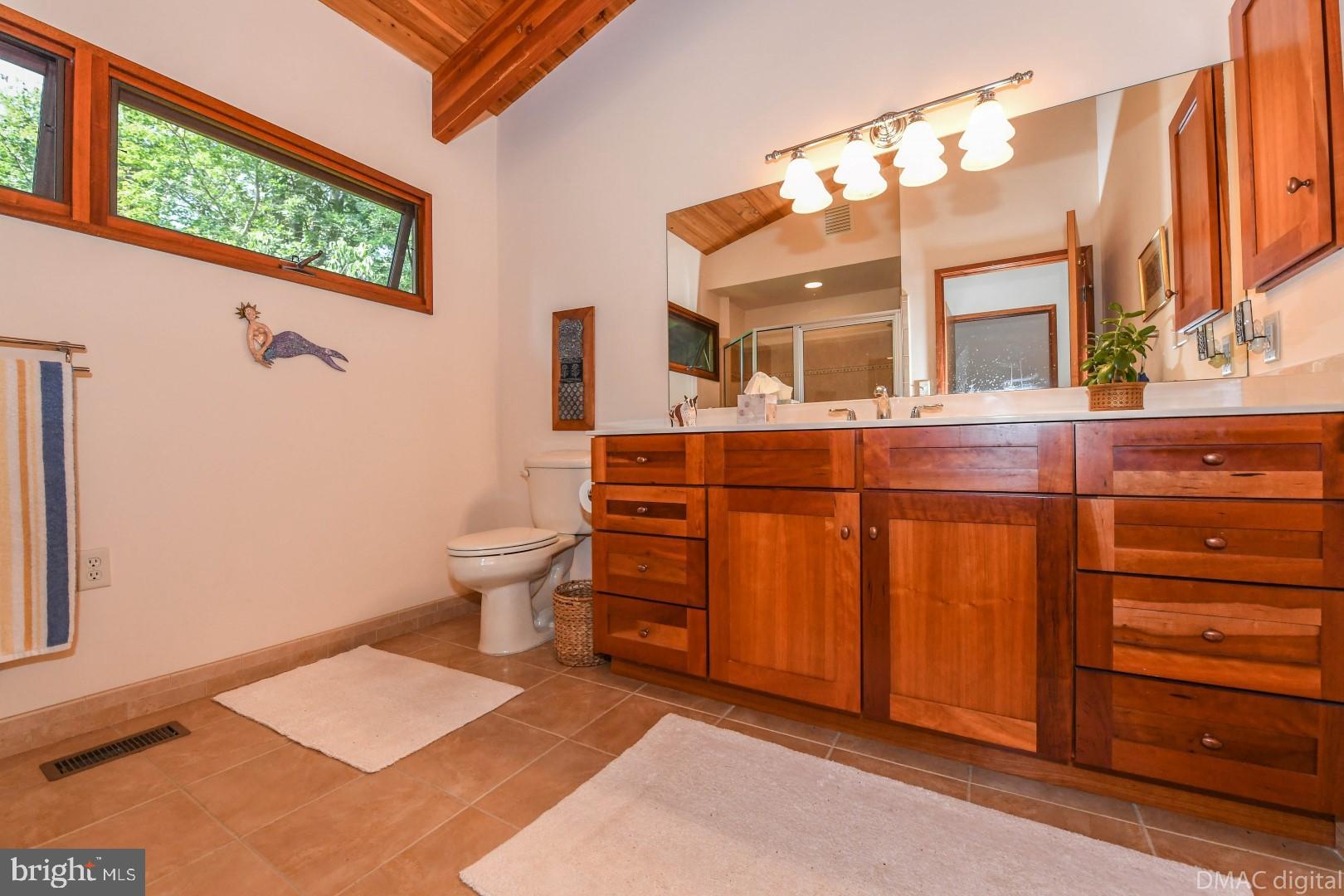 1708 Dahlgren Road Middletown, MD 21769 - Photo 20 of 60 a bathroom with a sink a toilet and a large mirror
