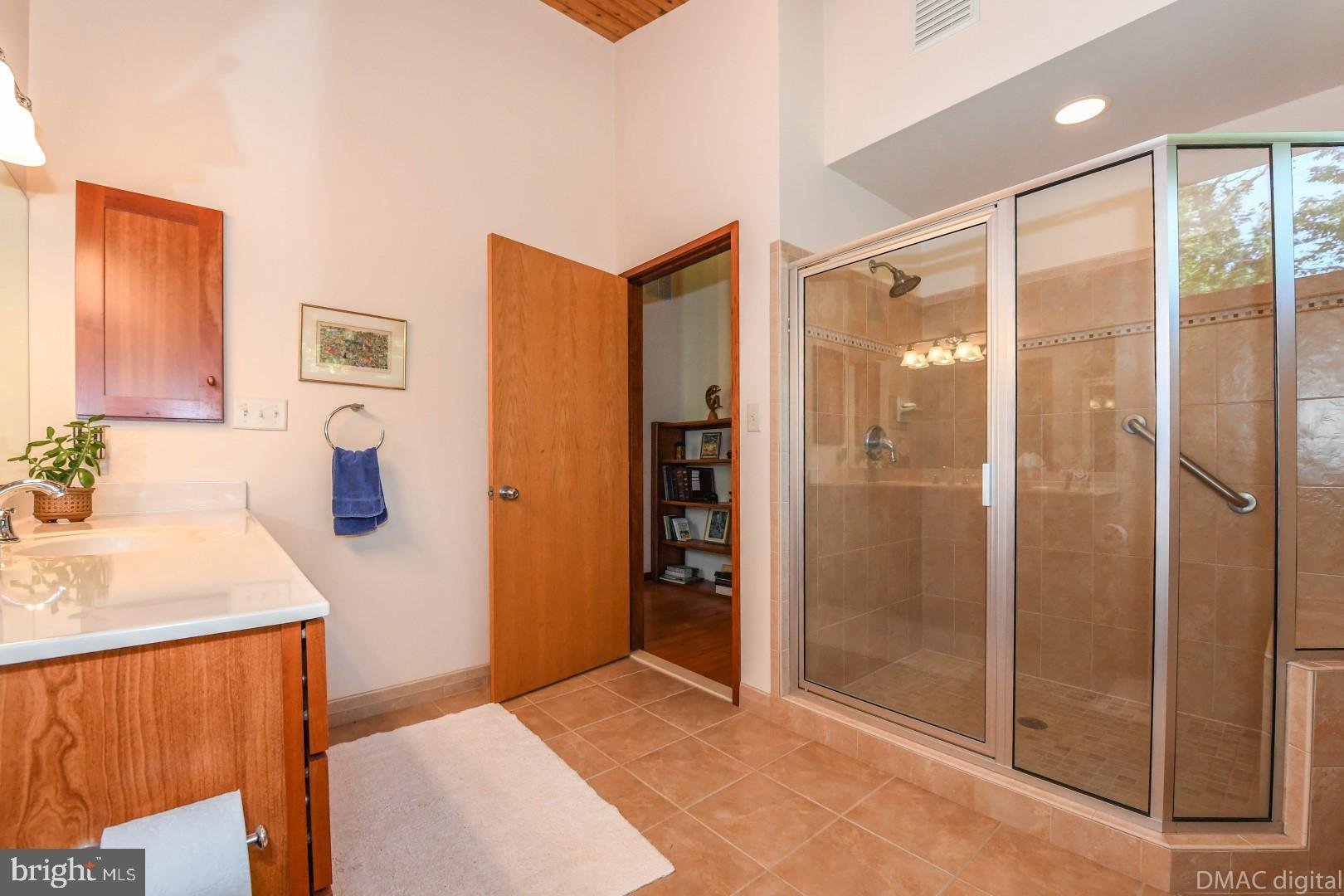 1708 Dahlgren Road Middletown, MD 21769 - Photo 21 of 60 a bathroom with a shower and a sink
