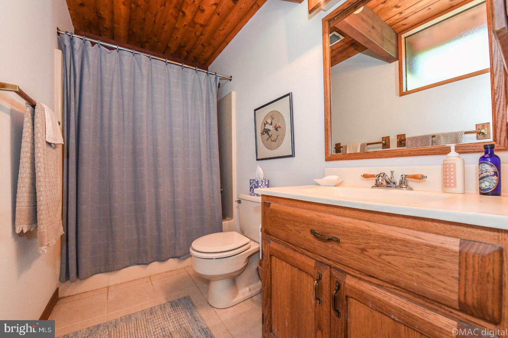 1708 Dahlgren Road Middletown, MD 21769 - Photo 31 of 60 a bathroom with a sink and a toilet