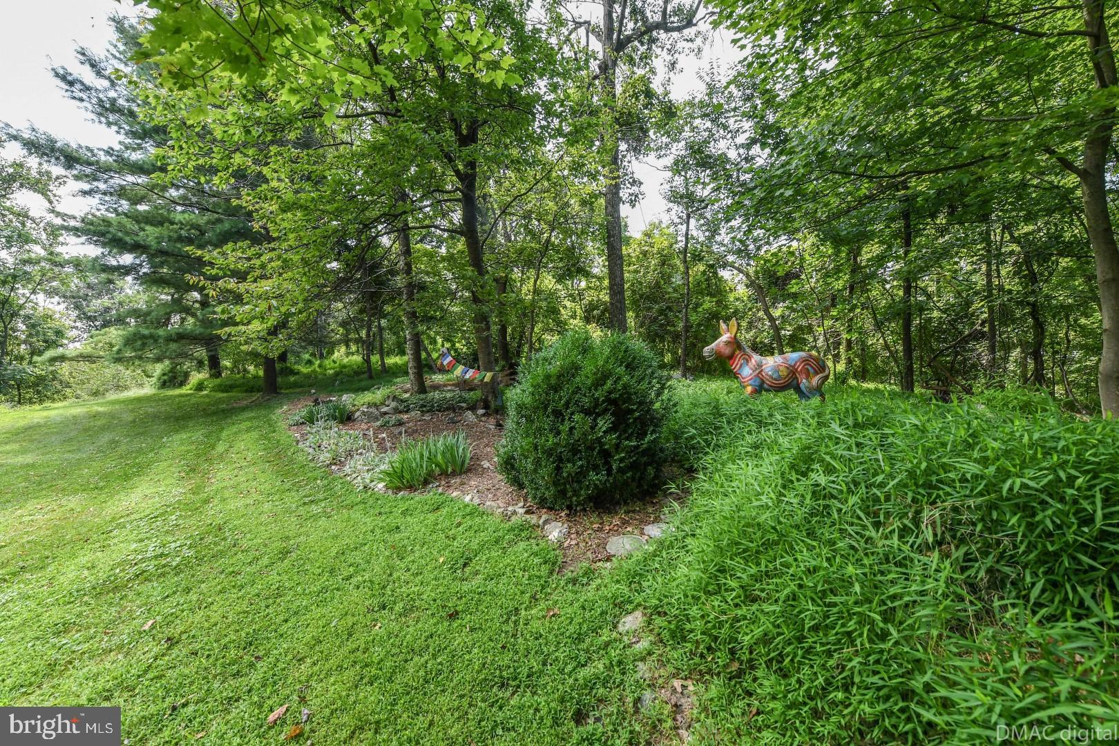 1708 Dahlgren Road Middletown, MD 21769 - Photo 50 of 60