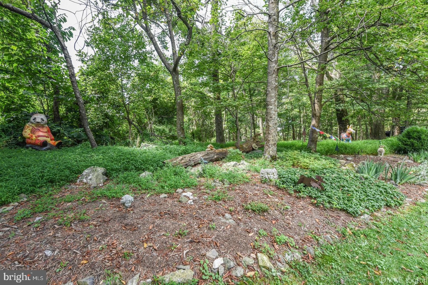 1708 Dahlgren Road Middletown, MD 21769 - Photo 51 of 60 a view of a lush green forest