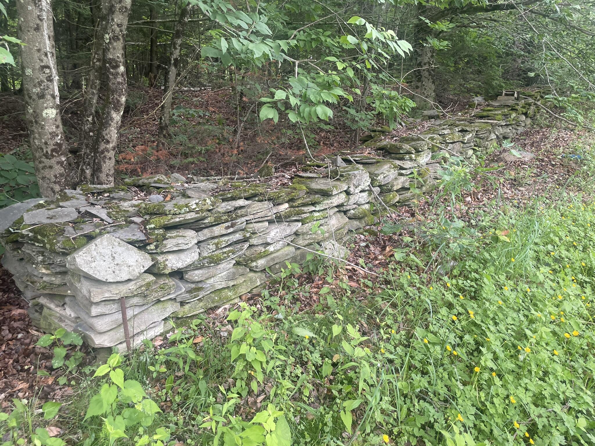 1075 Hill Road Clinton, ME 04927 - Photo 142 of 172 IMG_6240