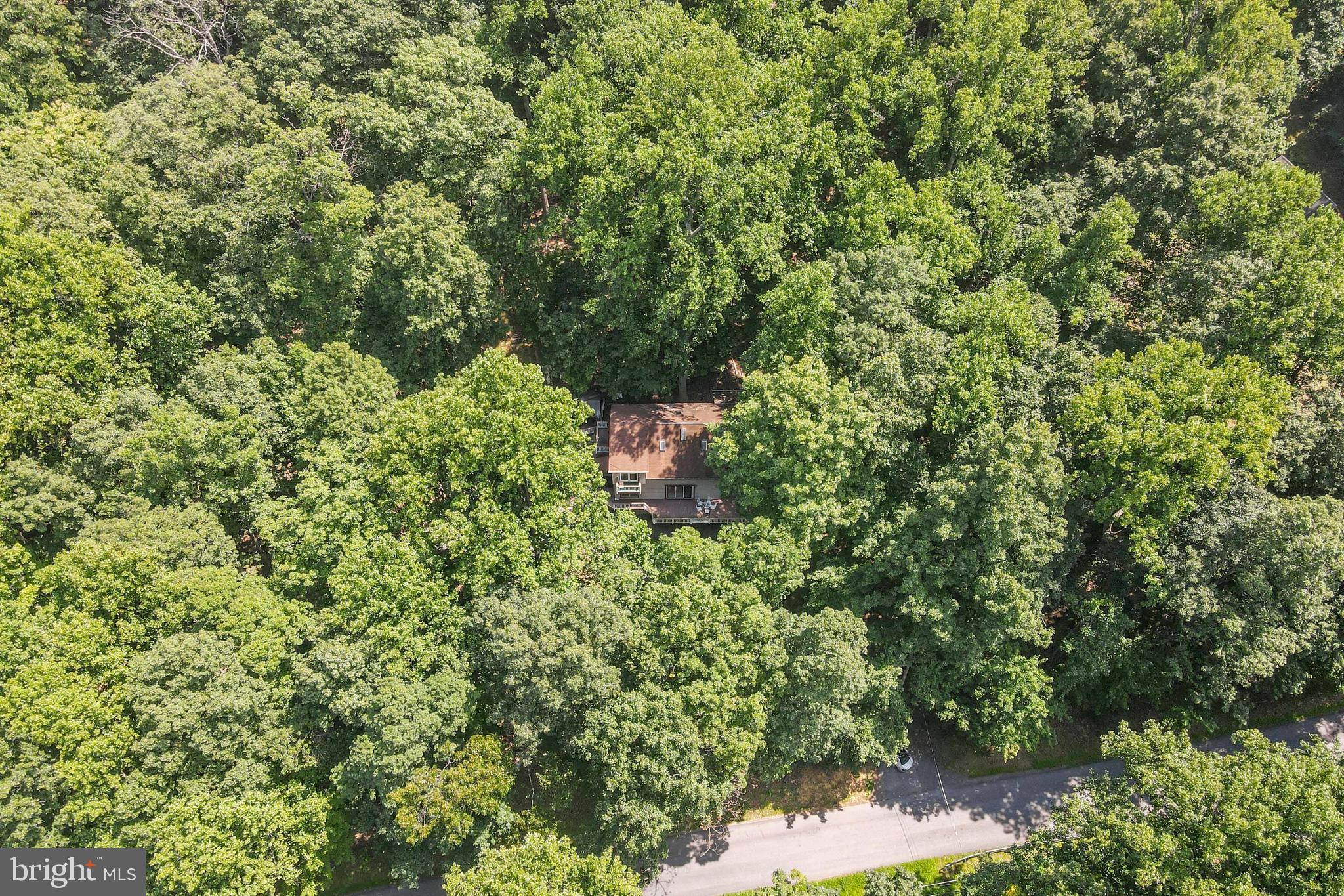 929 High Knob Road Front Royal, VA 22630 - Photo 25 of 30