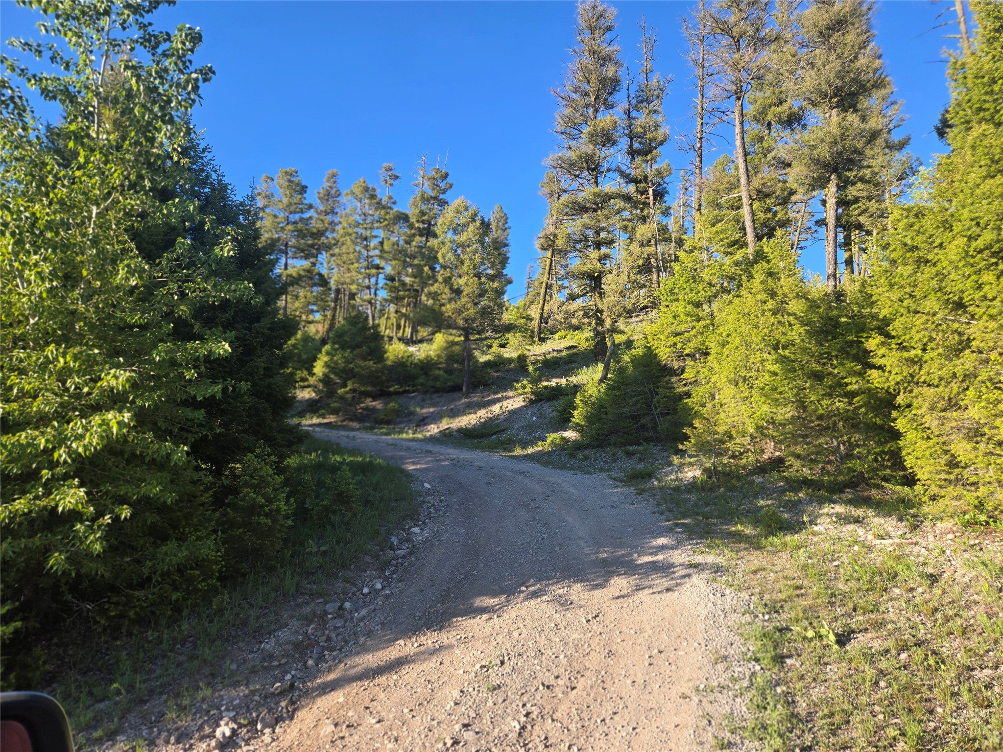 1 Big Sky Ridge Road Drummond, MT 59832 - Photo 10 of 13 Gallery Image 10