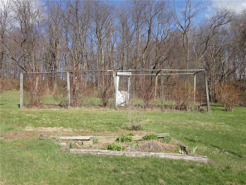 256 Shutt Road Greensburg, PA 15601 - Photo 22 of 24 BLUEBERRY PATCH