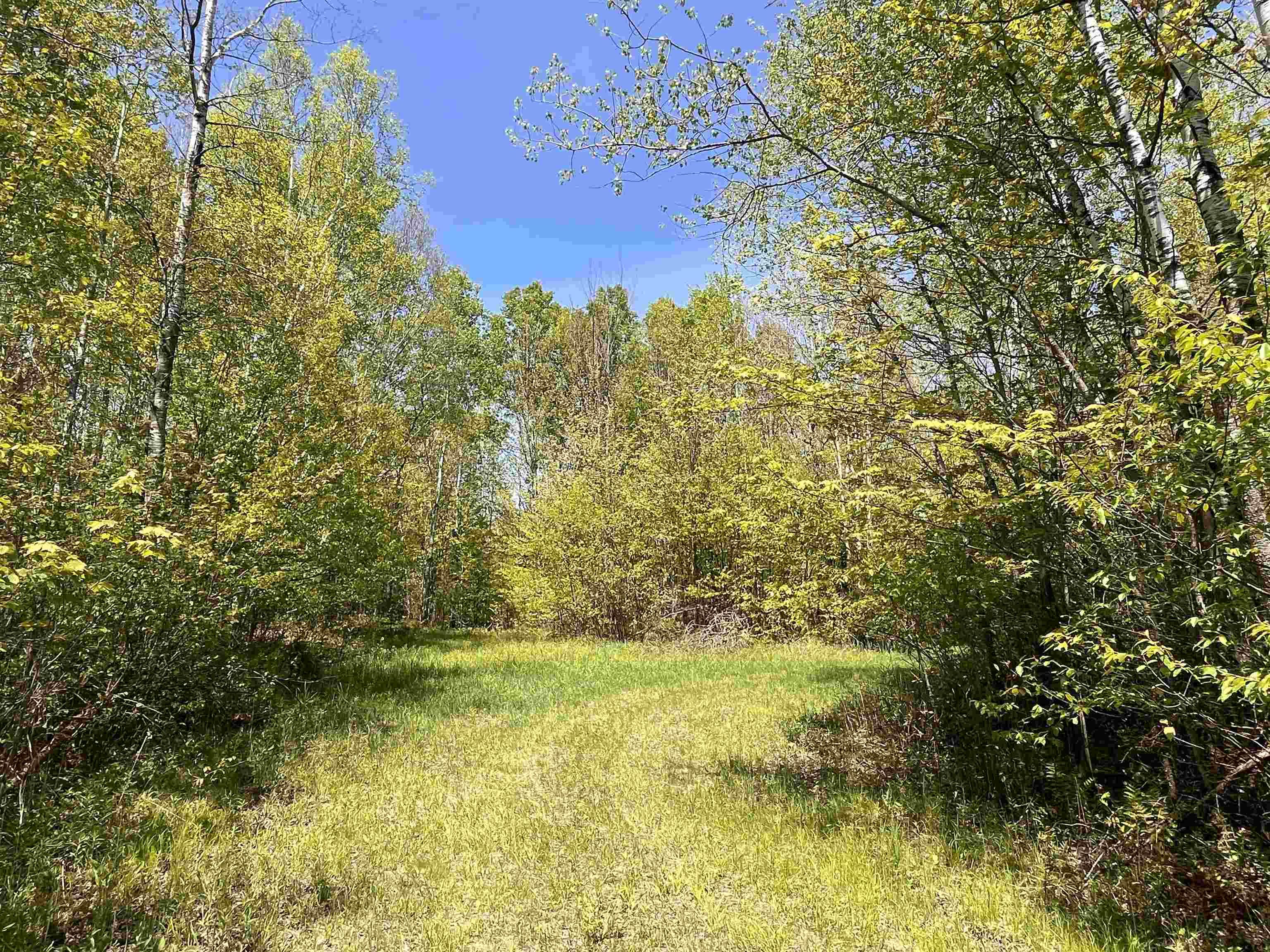 80-acres 80-acres Clausen Road Prentice, WI 54556 - Photo 15 of 17