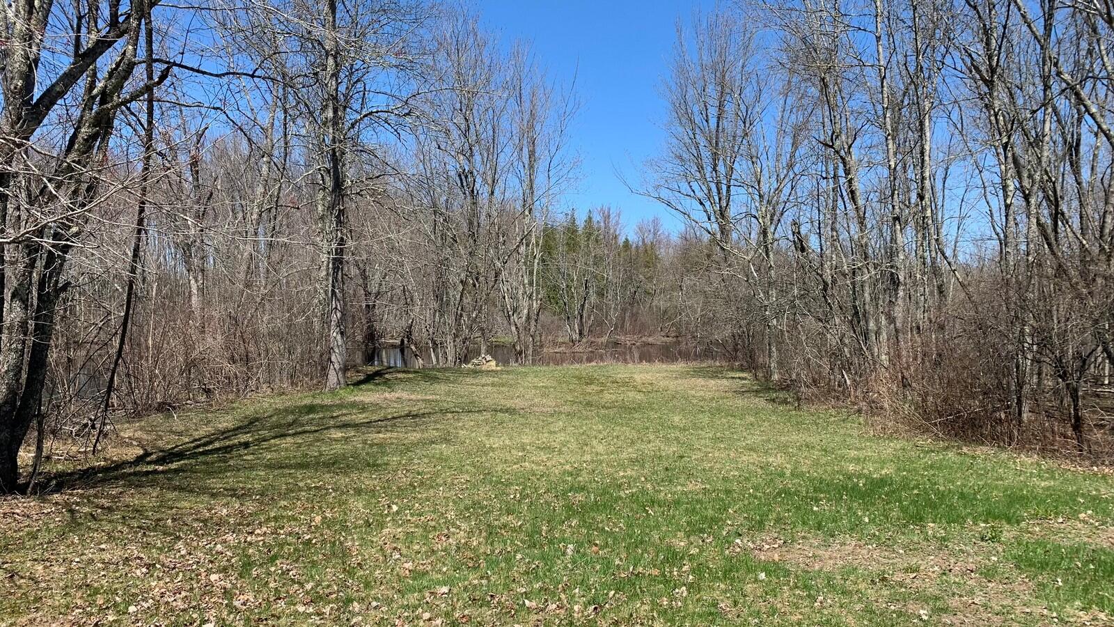35-37 Island Farm Road Levant, ME 04456 - Photo 31 of 50 IMG_4448