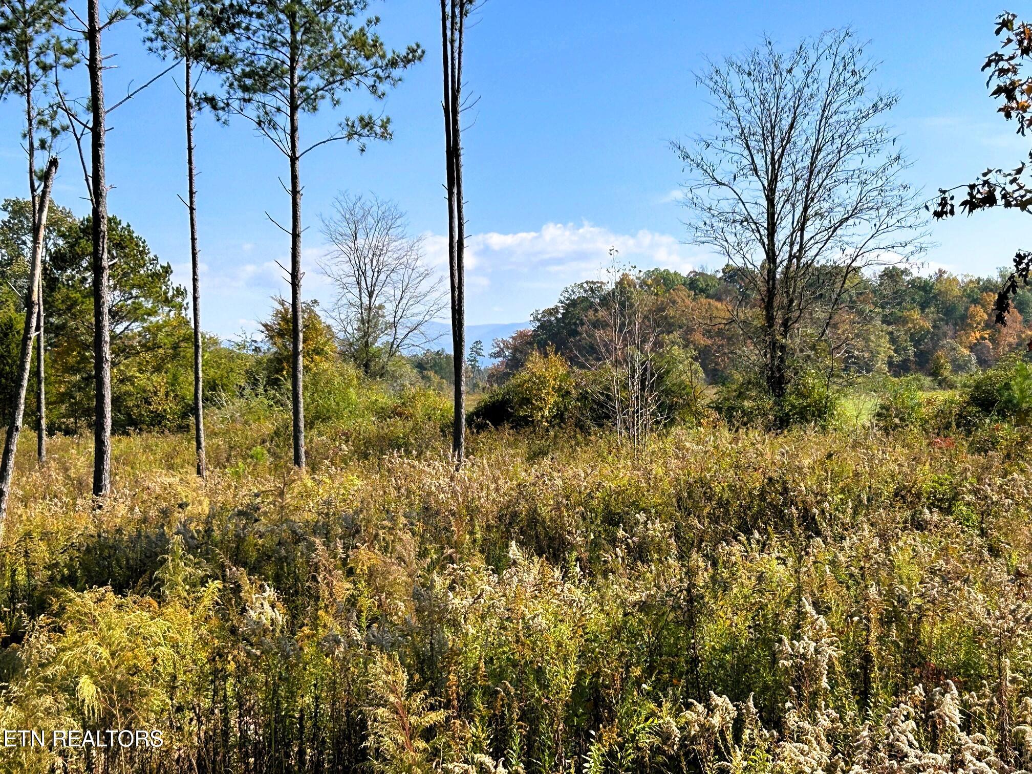 12 Hughes Lake Road Cleveland, TN 37323 - Photo 1 of 7 tract 12 summer