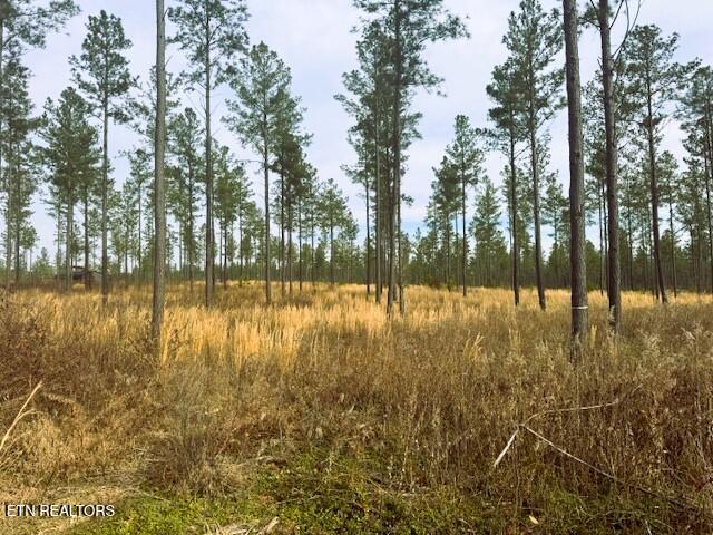 12 Hughes Lake Road Cleveland, TN 37323 - Photo 2 of 7 Tract 12 winter 2026