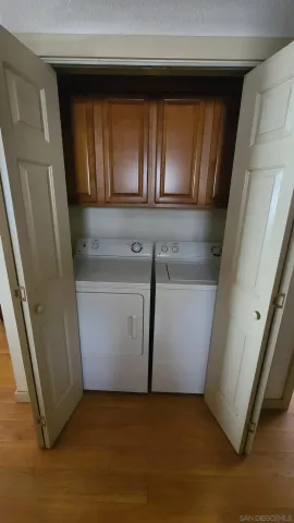 a view of a forest with a tree in the background