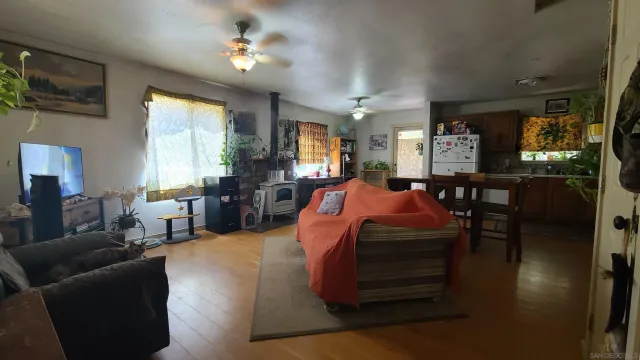 a view of a forest that has a tree