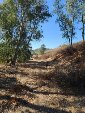 a view of an ocean and a mountain