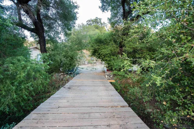 a view of a yard with a tree