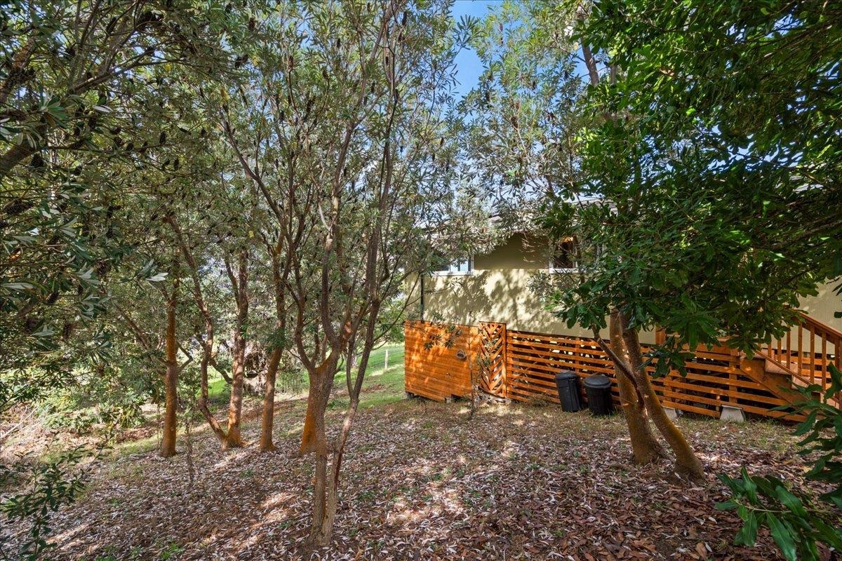 31 Hapapa Road, Unit B Kula, HI 96790 - Photo 45 of 50 a backyard of a house with barbeque oven and trees