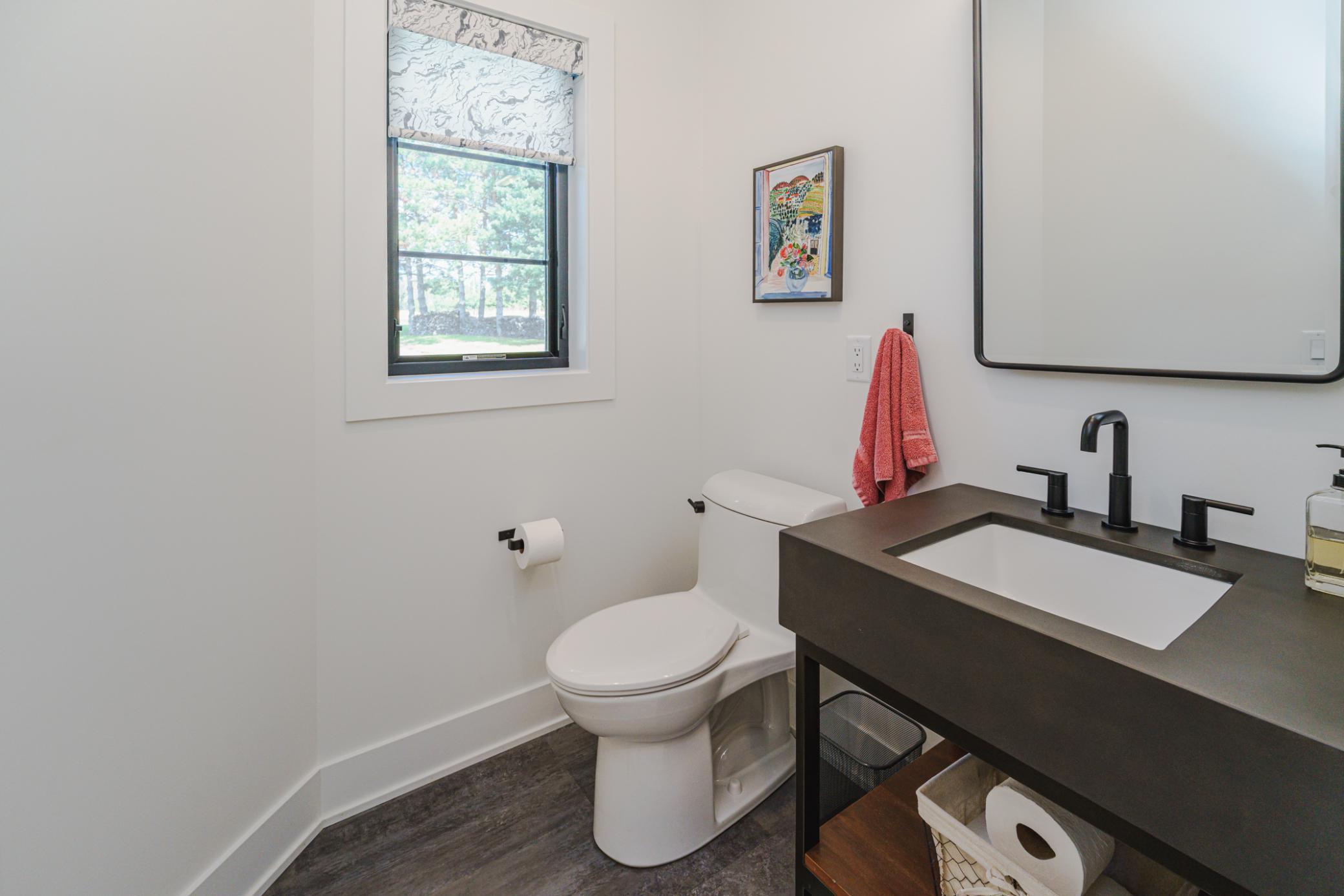 48953 North Shore Road Waterville, MN 56096 - Photo 14 of 42 Gallery Image 14