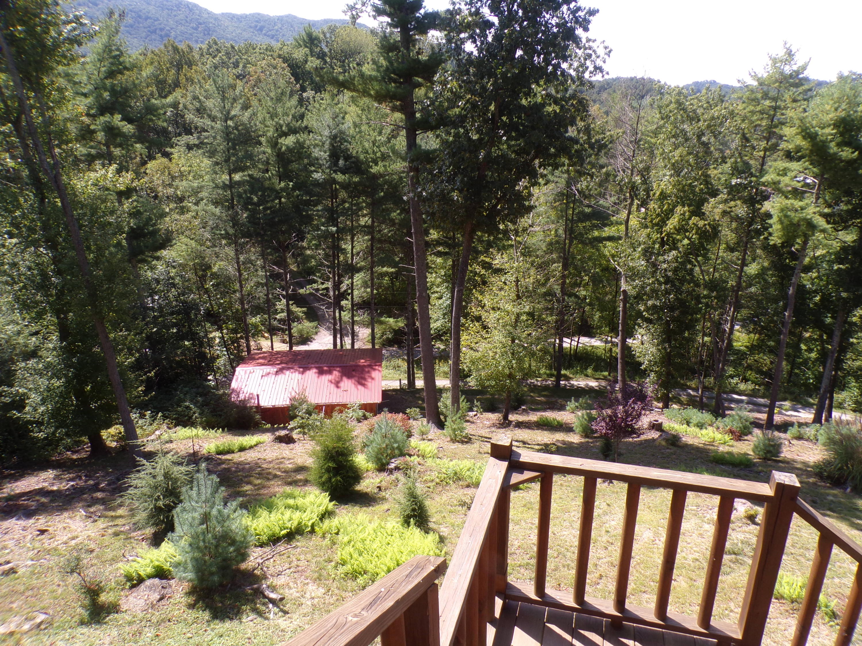 126 Water Tank Road Butler, TN 37640 - Photo 27 of 42 103_4299