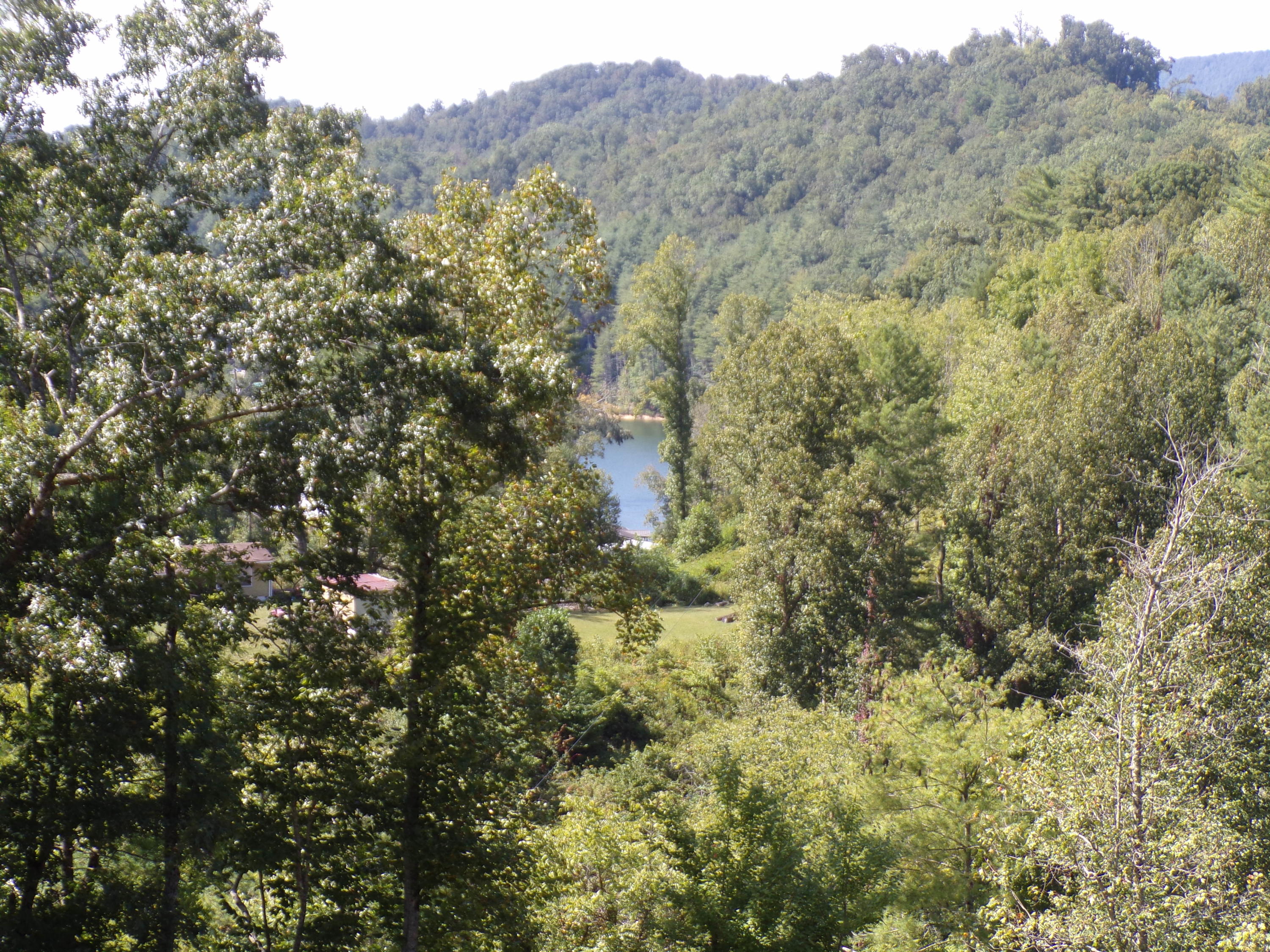 126 Water Tank Road Butler, TN 37640 - Photo 37 of 42 103_4293