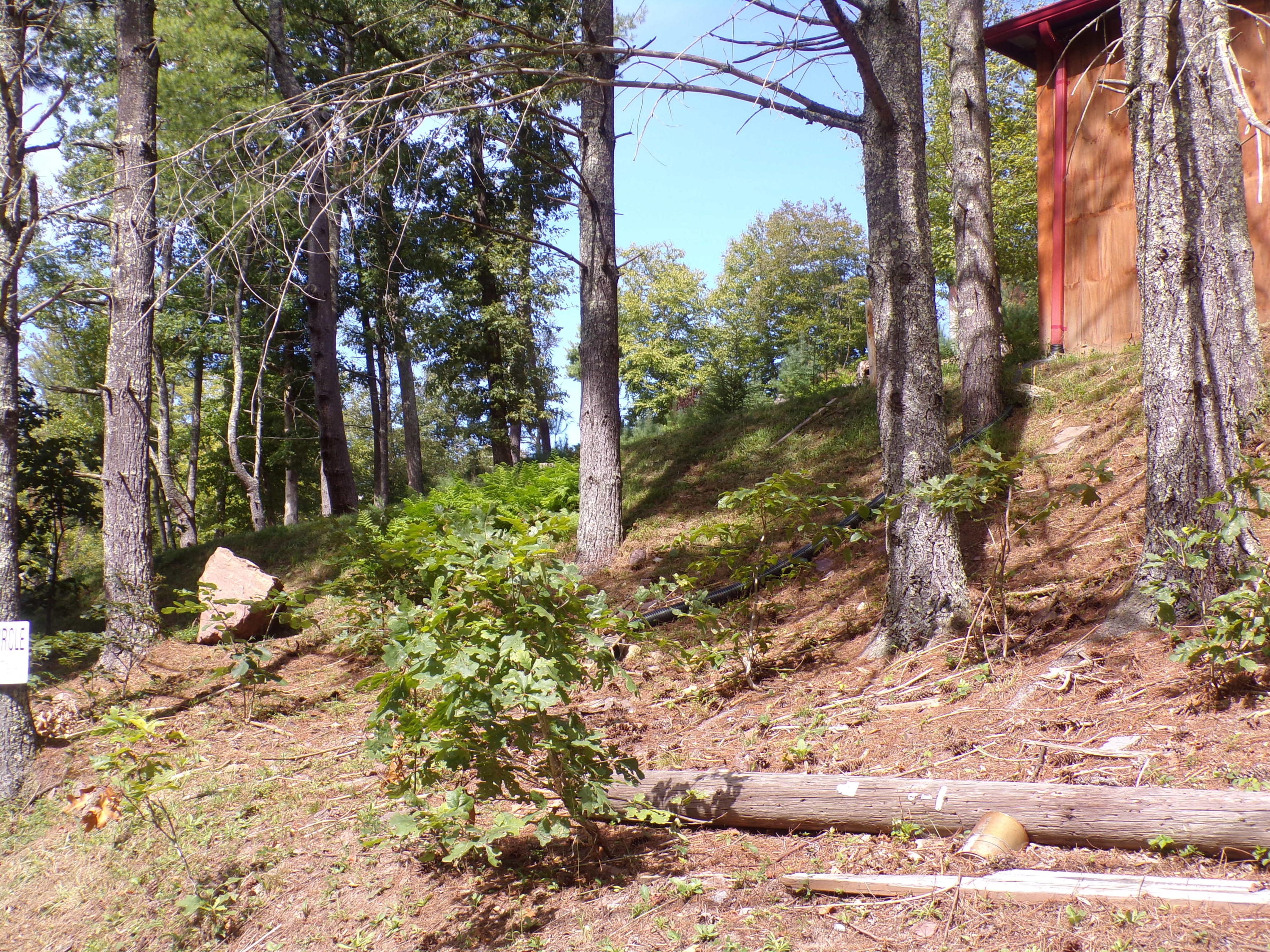 126 Water Tank Road Butler, TN 37640 - Photo 39 of 42 103_4391