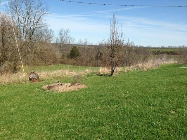 3140 Lemon Northcutt Road Dry Ridge, KY 41035 - Photo 9 of 12