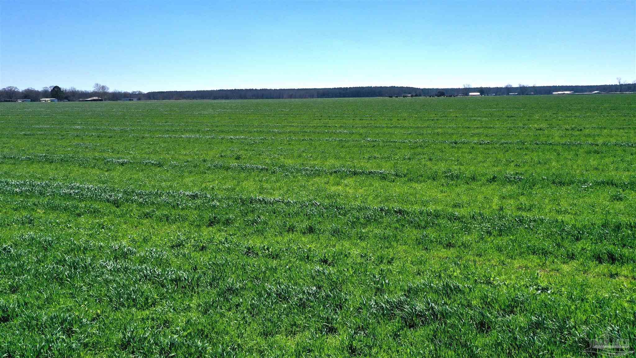 Lot 2 Mccullough Road Atmore, AL 36502 - Photo 6 of 10