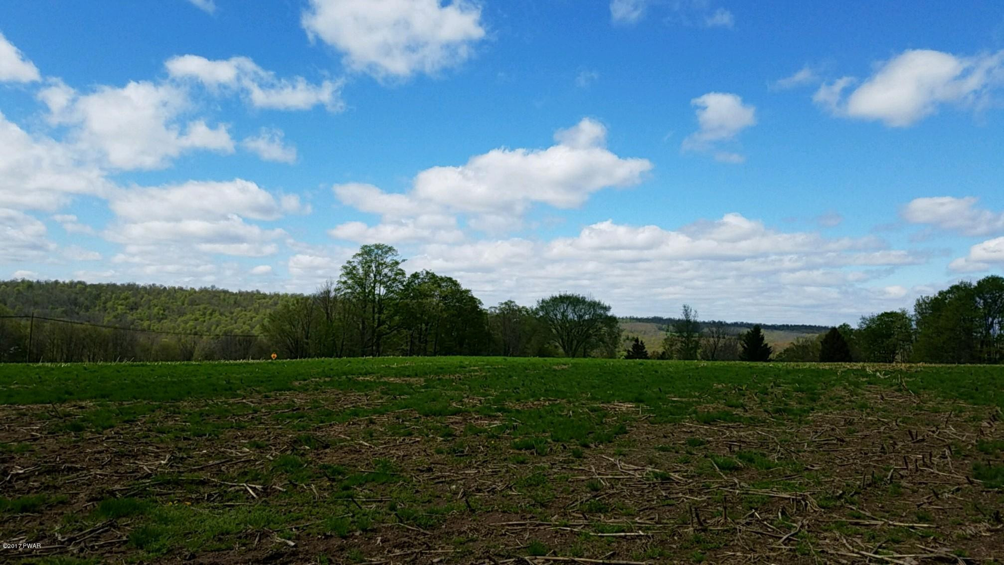 376 Wescott Road Tyler Hill, PA 18469 - Photo 1 of 8