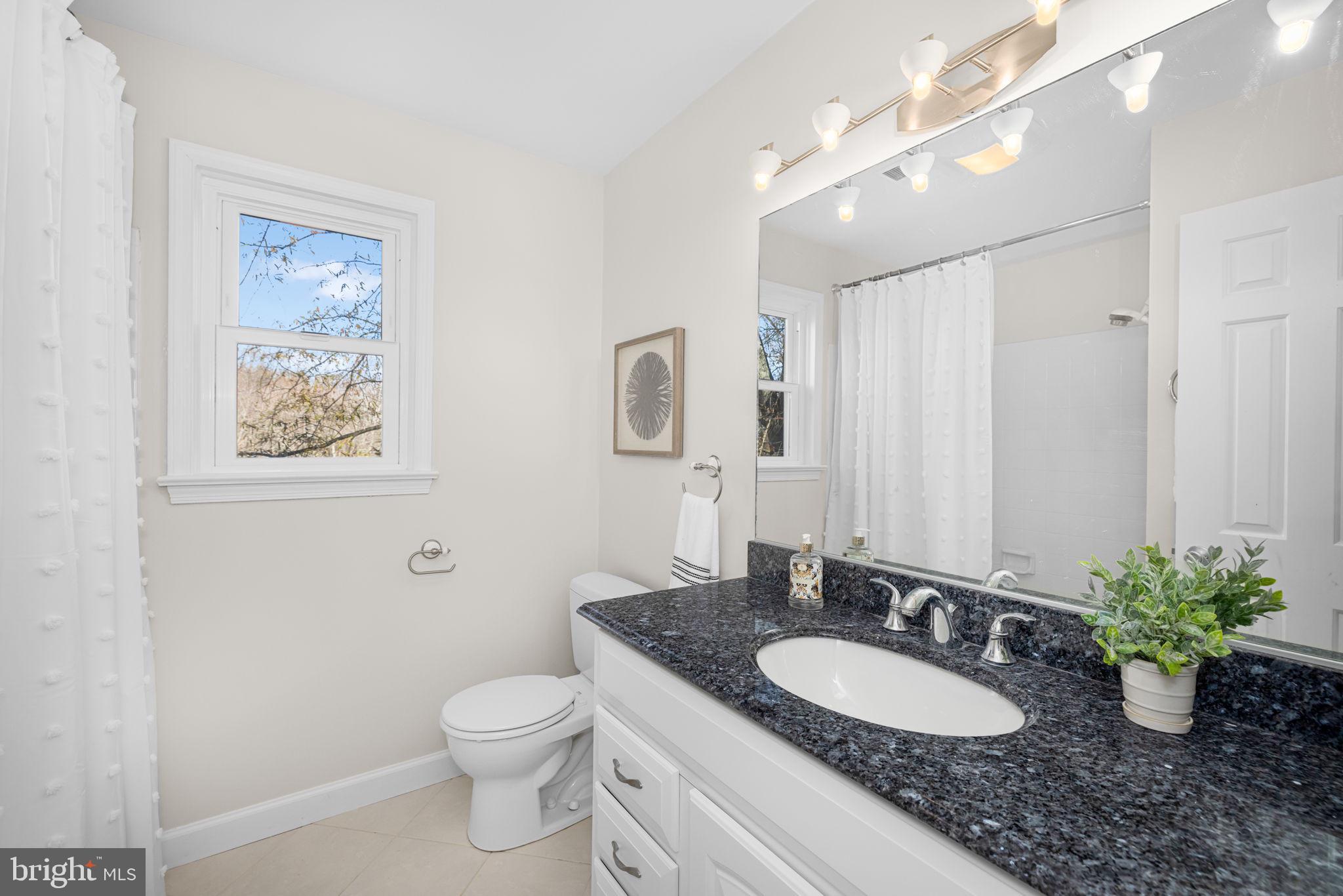 1446 Laurel Hill Road Vienna, VA 22182 - Photo 28 of 43 Full Bathroom