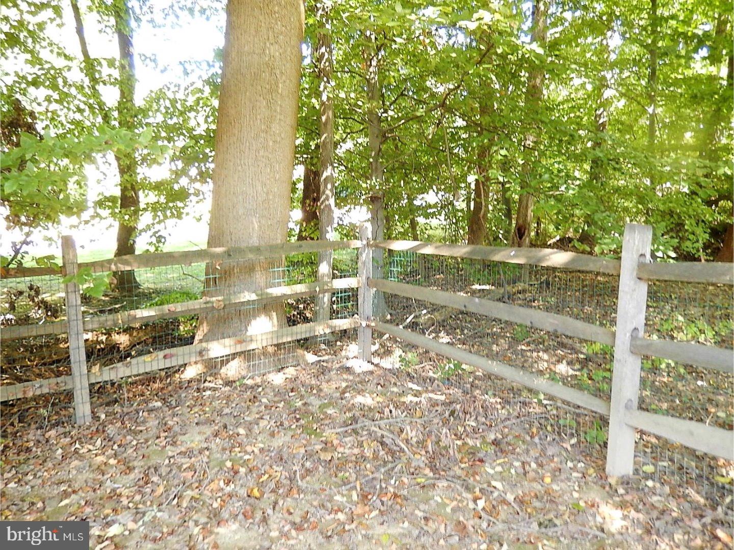 1145 Basin Road West Chester, PA 19382 - Photo 16 of 19 Back Yard