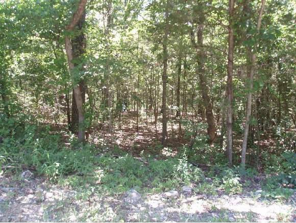 Lot 6 Lake Expressway Trail Branson Trail Reeds Spring, MO 65737 - Photo 1 of 1 Primary Photo