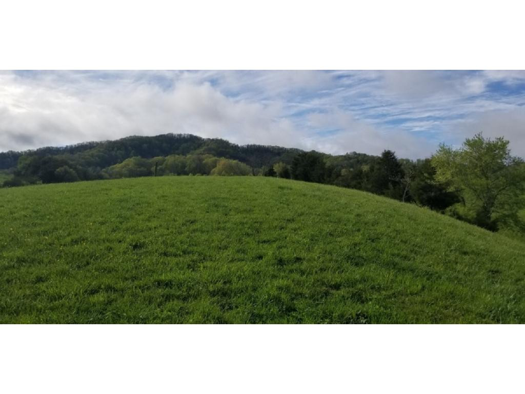 265 Moulton Road Fall Branch, TN 37656 - Photo 1 of 16 Photo 1