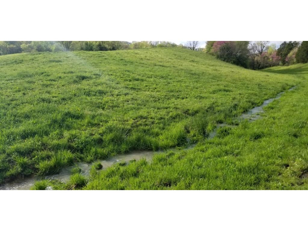 265 Moulton Road Fall Branch, TN 37656 - Photo 11 of 16 Photo 11