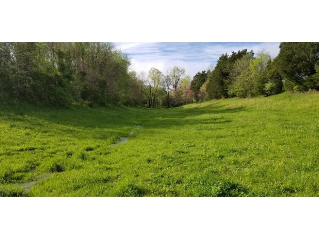 265 Moulton Road Fall Branch, TN 37656 - Photo 12 of 16 Photo 12
