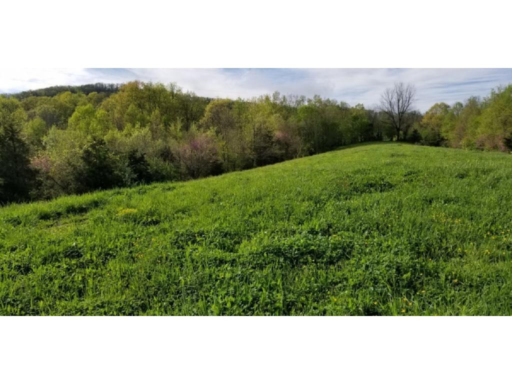 265 Moulton Road Fall Branch, TN 37656 - Photo 14 of 16 Photo 14