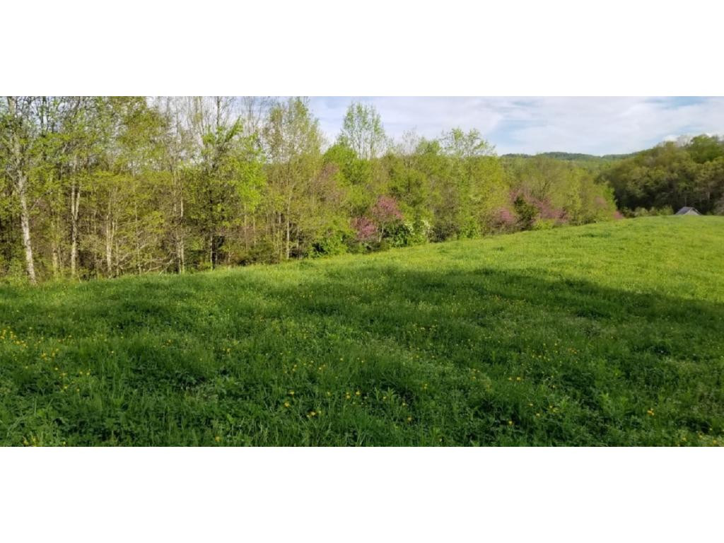 265 Moulton Road Fall Branch, TN 37656 - Photo 15 of 16 Photo 15