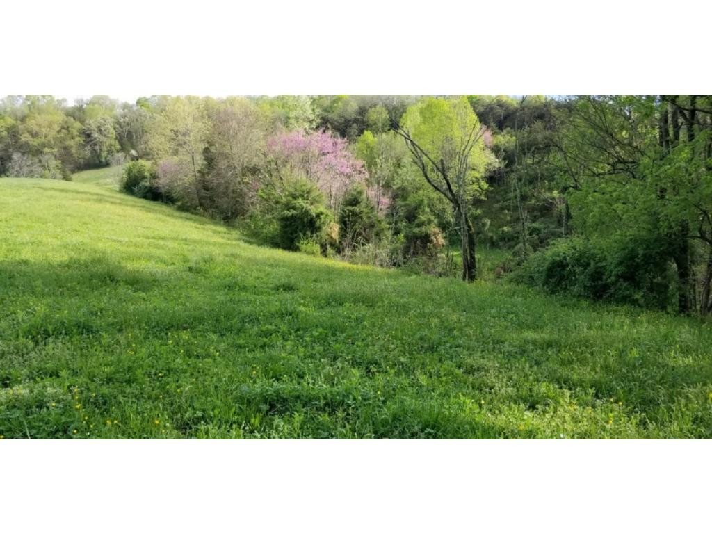 265 Moulton Road Fall Branch, TN 37656 - Photo 16 of 16 Photo 16