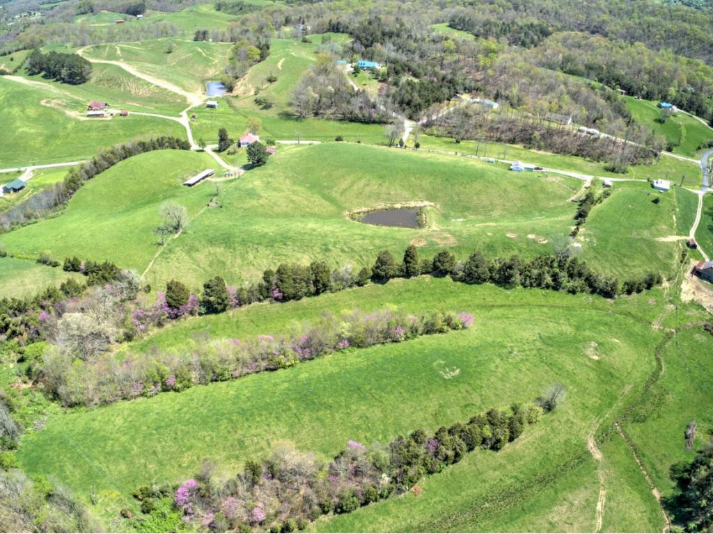 265 Moulton Road Fall Branch, TN 37656 - Photo 2 of 16 Photo 2