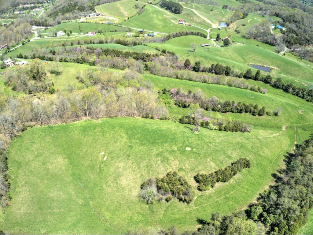 265 Moulton Road Fall Branch, TN 37656 - Photo 4 of 16 Photo 4