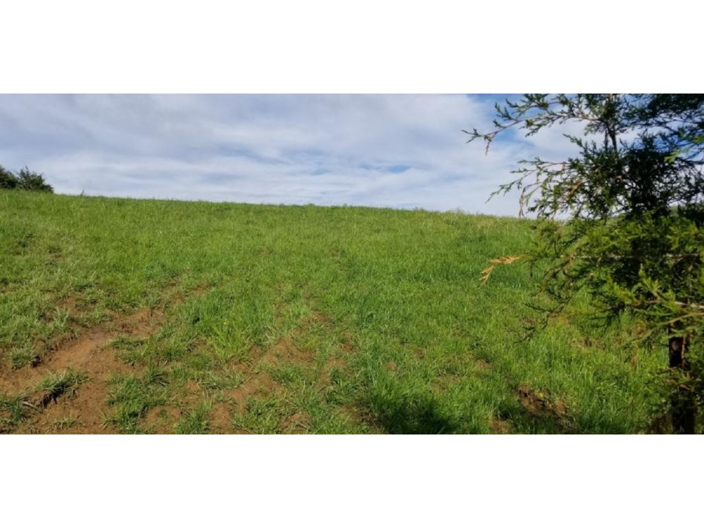 265 Moulton Road Fall Branch, TN 37656 - Photo 10 of 16 Photo 10