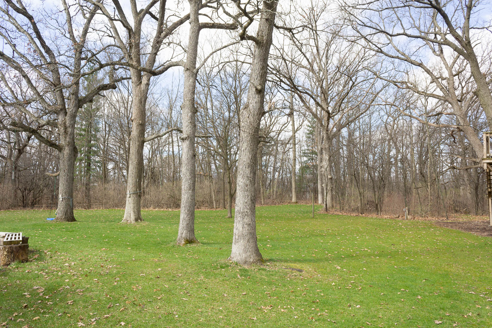 3715 Lindwall Road Harvard, IL 60033 - Photo 3 of 22